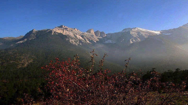 Εκτός κινδύνου 42χρονος που έπεσε σε ρέμα