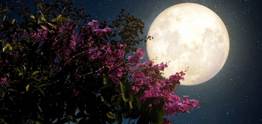 Πότε θα τη δούμε στην Ελλάδα και γιατί πήρε το όνομά της