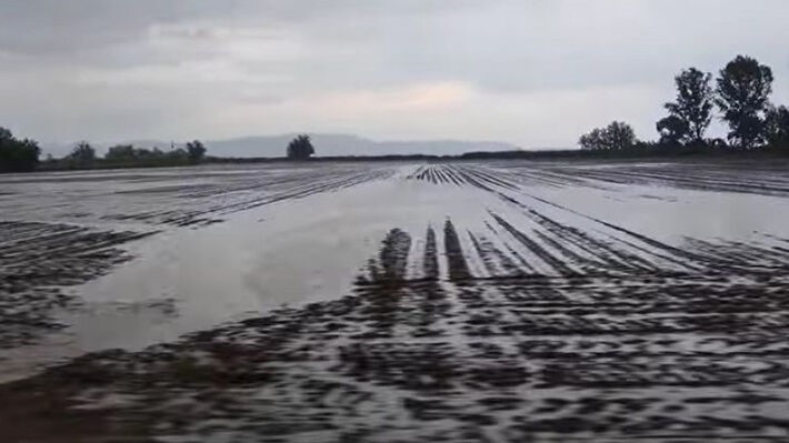 Κάντε δηλώσεις στον ΕΛΓΑ να ξεκινήσουν οι προκαταβολές