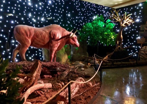 Δωρεάν εκπαιδευτικές δράσεις στη Λάρισα