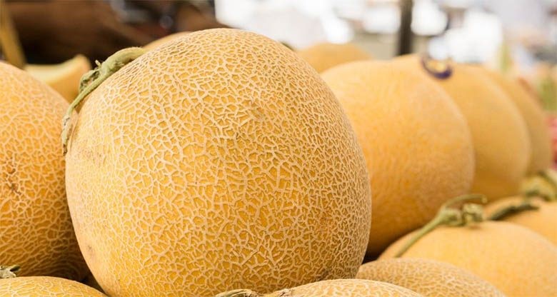 Βροχοπτώσεις και κρύο φρέναραν τις αποδόσεις