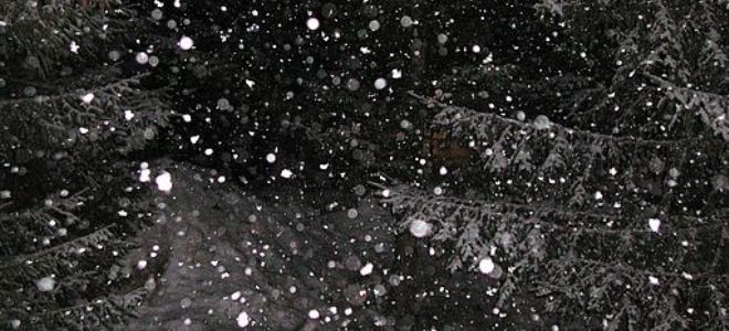 Έπεσαν τη νύχτα οι πρώτες νιφάδες