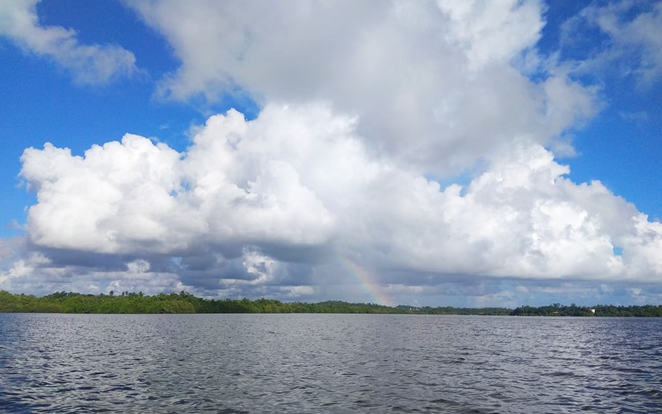 Ψυχρότερος ο φετινός Ιούνιος