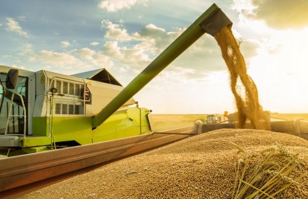 Μάζευε βρώμη από έκταση της Λίμνης Κάρλας και συνελήφθη