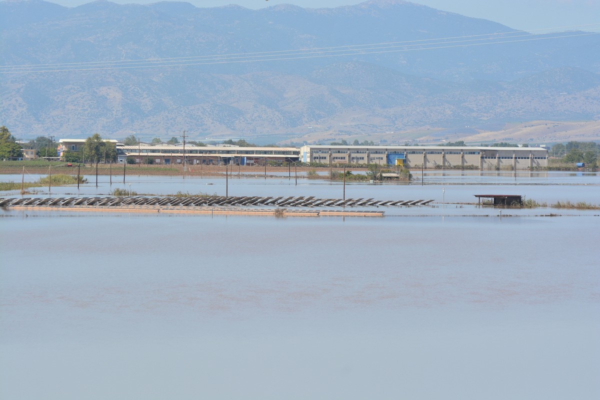 46 περιστατικά γαστρεντερίτιδας, ένα βρέφος με σαλμονέλα