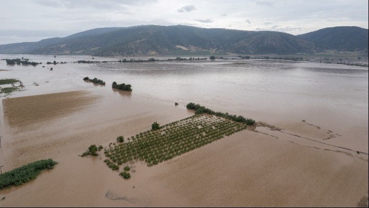 Με εντατικούς ρυθμούς προχωρούν αυτοψίες και καταγραφές