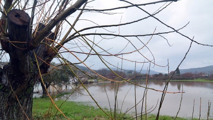 Στη Θεσσαλία σήμερα ο Επίτροπος Γεωργίας της ΕΕ