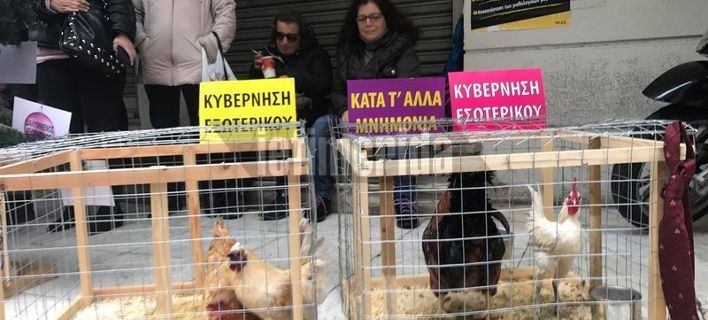 Διαμαρτυρία της ΠΟΕΔΗΝ με... κότες και κοκόρια 