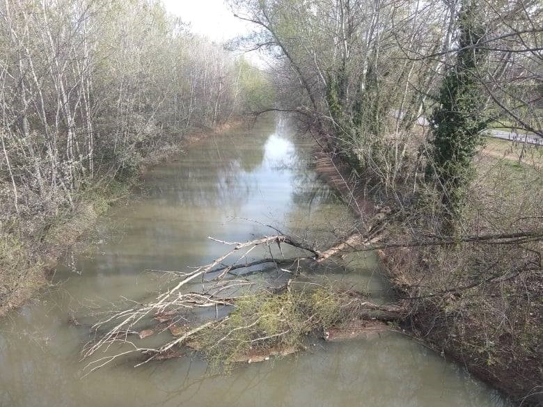 Nέα στοιχεία για την εξαφάνιση της 59χρονης