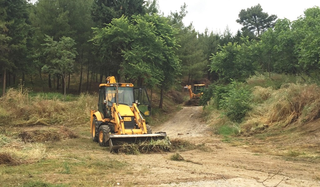 Καθαρίζεται το άλσος του Προφήτη Ηλία
