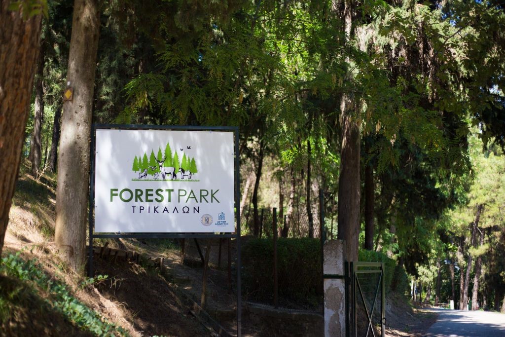 Δημοπρατείται η ανάπλαση του Προφήτη Ηλία