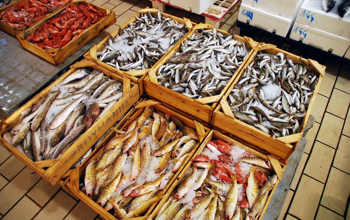 Παράνομα αλιεύματα κατάσχεσε το Λιμενικό 