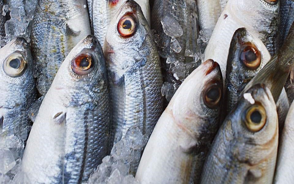 Ανακαλούνται ακατάλληλα κατεψυγμένα ψάρια
