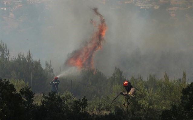 Δασικές πυρκαγιές σε 58 περιοχές της χώρας