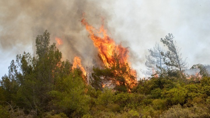 51 δασικές πυρκαγιές εκδηλώθηκαν το τελευταίο 24ωρο