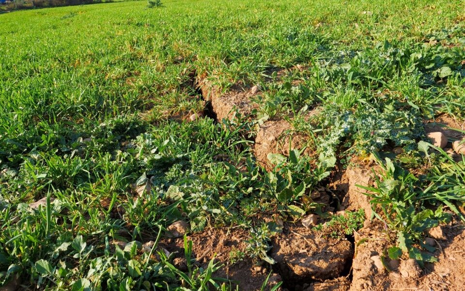 Όλα τα σεισμικά ρήγματα σε έναν ψηφιακό χάρτη