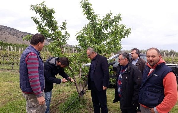 Aυτοψία του ΕΛΓΑ στις χαλαζόπληκτες καλλιέργειες