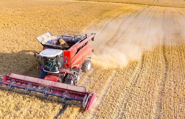 Μειωμένη μέχρι 40% η τιμή στα σιτηρά