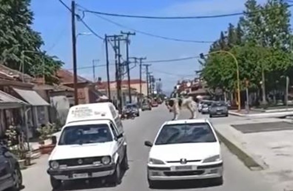 Εβαλαν σκύλο στην οροφή εν κινήσει αυτοκινήτου!