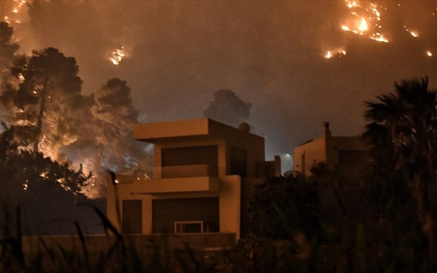 Στάχτη 20 χιλιάδες στρέμματα δάσους