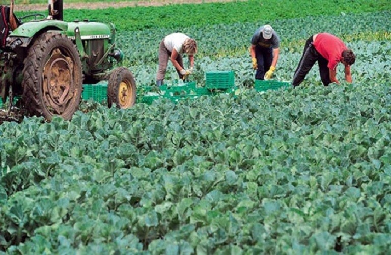 Έρχονται από την Αίγυπτο 5.000 εργάτες γης