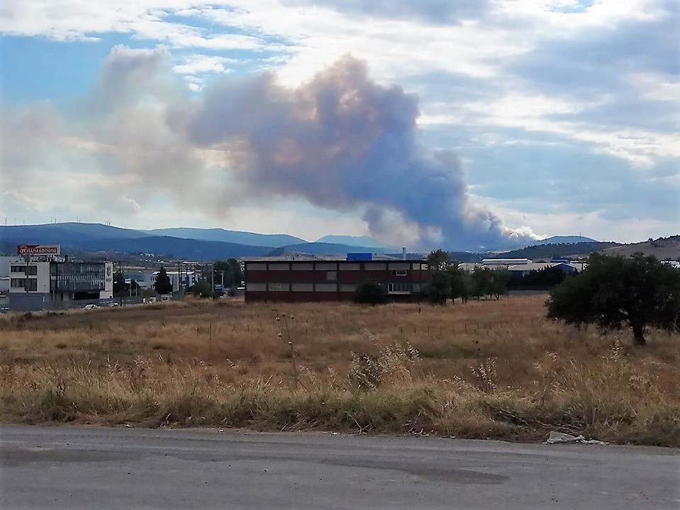 Φωτιά σε δασική έκταση στην Τανάγρα