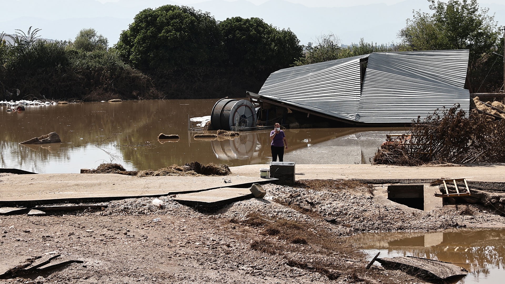 Σχεδόν 97.000 νεκρά ζώα έχουν δηλωθεί μέχρι στιγμής