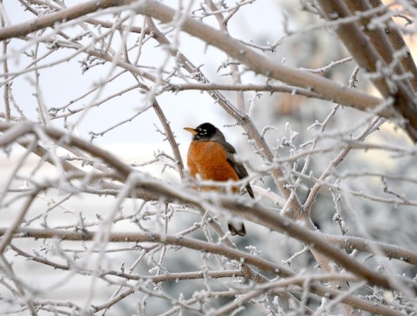Κάτω από τους -16° C η θερμοκρασία το πρωί της Κυριακής