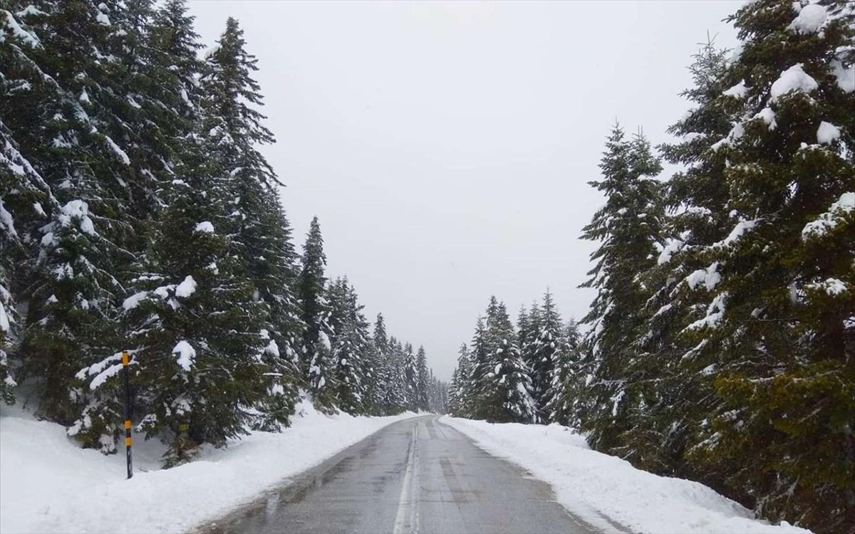 Λευκό τοπίο στα ορεινά των Τρικάλων