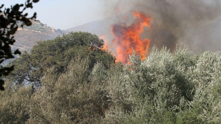 Yψηλή επικινδυνότητα για πυρκαγιές στη Θεσσαλία