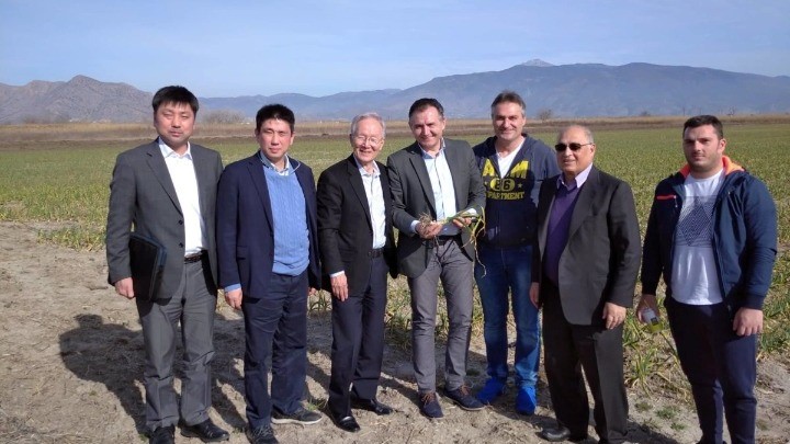 Το σκόρδο eNtopio φέρνει τους Ιάπωνες στον Πλατύκαμπο