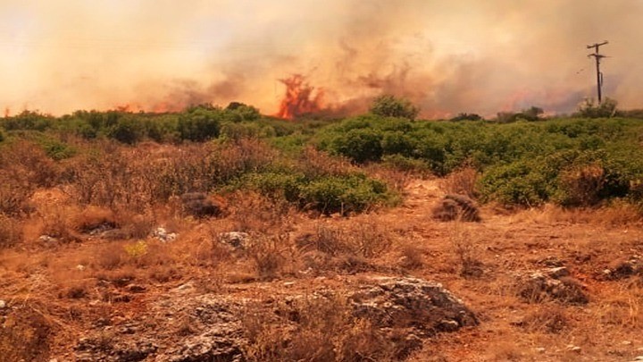 Πυρκαγιά σε δασική έκταση στην Σκόπελο