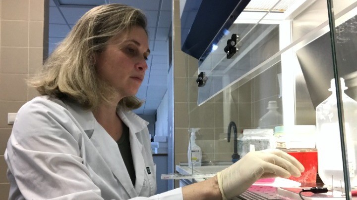 Πώς επιδρά ο καύσωνας στους ανθρώπους