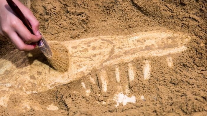 Κενές θέσεις στην Εφορεία Αρχαιοτήτων Λάρισας