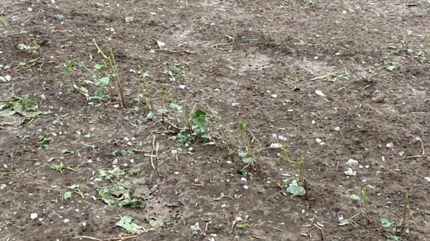 27χρονος σκότωσε τον γιο του και αυτοκτόνησε