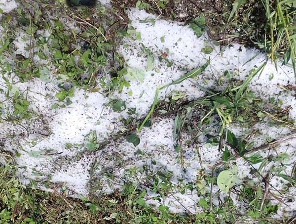 Ζημιές σε καλλιέργειες λόγω χαλαζόπτωσης