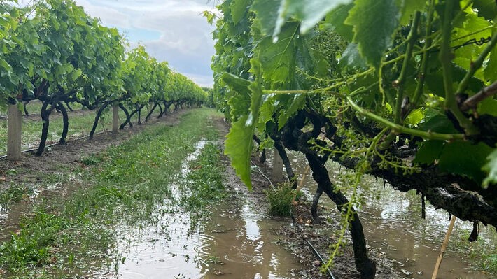 Σφοδρή χαλαζόπτωση κατέστρεψε καλλιέργειες