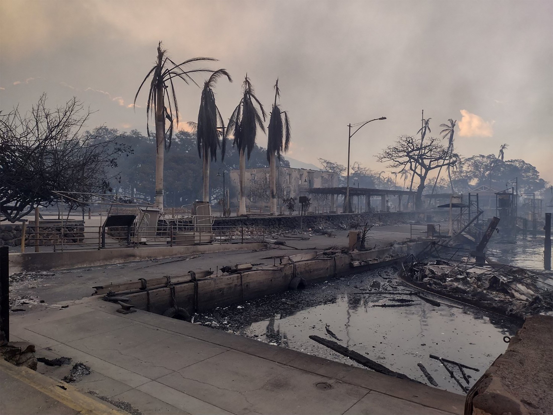 Πάνω από 1.000 κάτοικοι αγνοούνται μετά τις φονικές πυρκαγιές