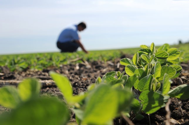 Πλήρωσε 20.000 € για χωράφια και δεν είδε ποτέ… συμβόλαια!