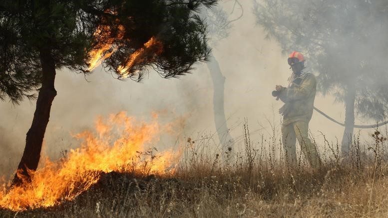 Ξέσπασαν 1.302 πυρκαγιές από τις 15 Ιουλίου