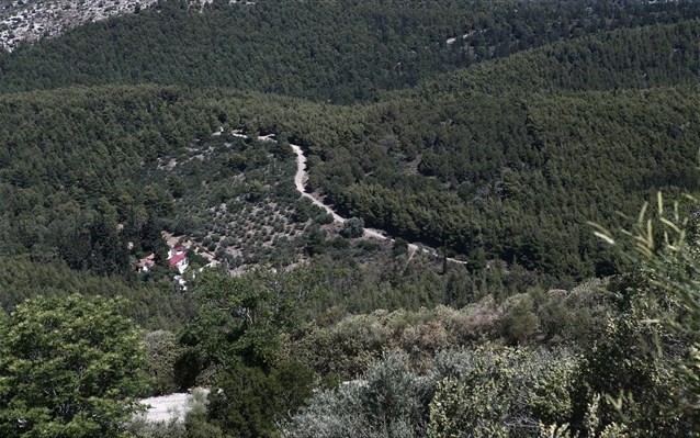Νεκρός βρέθηκε 55χρονος πεζοπόρος