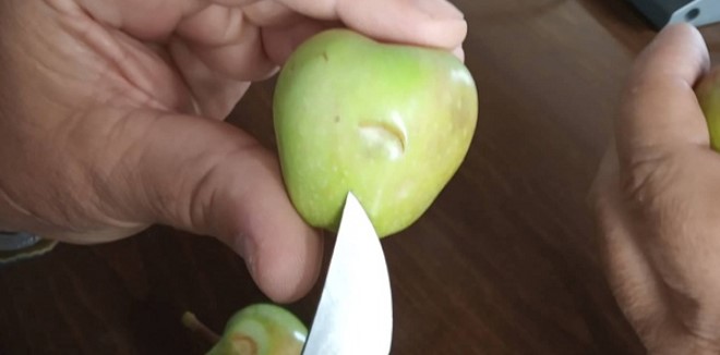 Σε απόγνωση οι παραγωγοί του Πηλίου