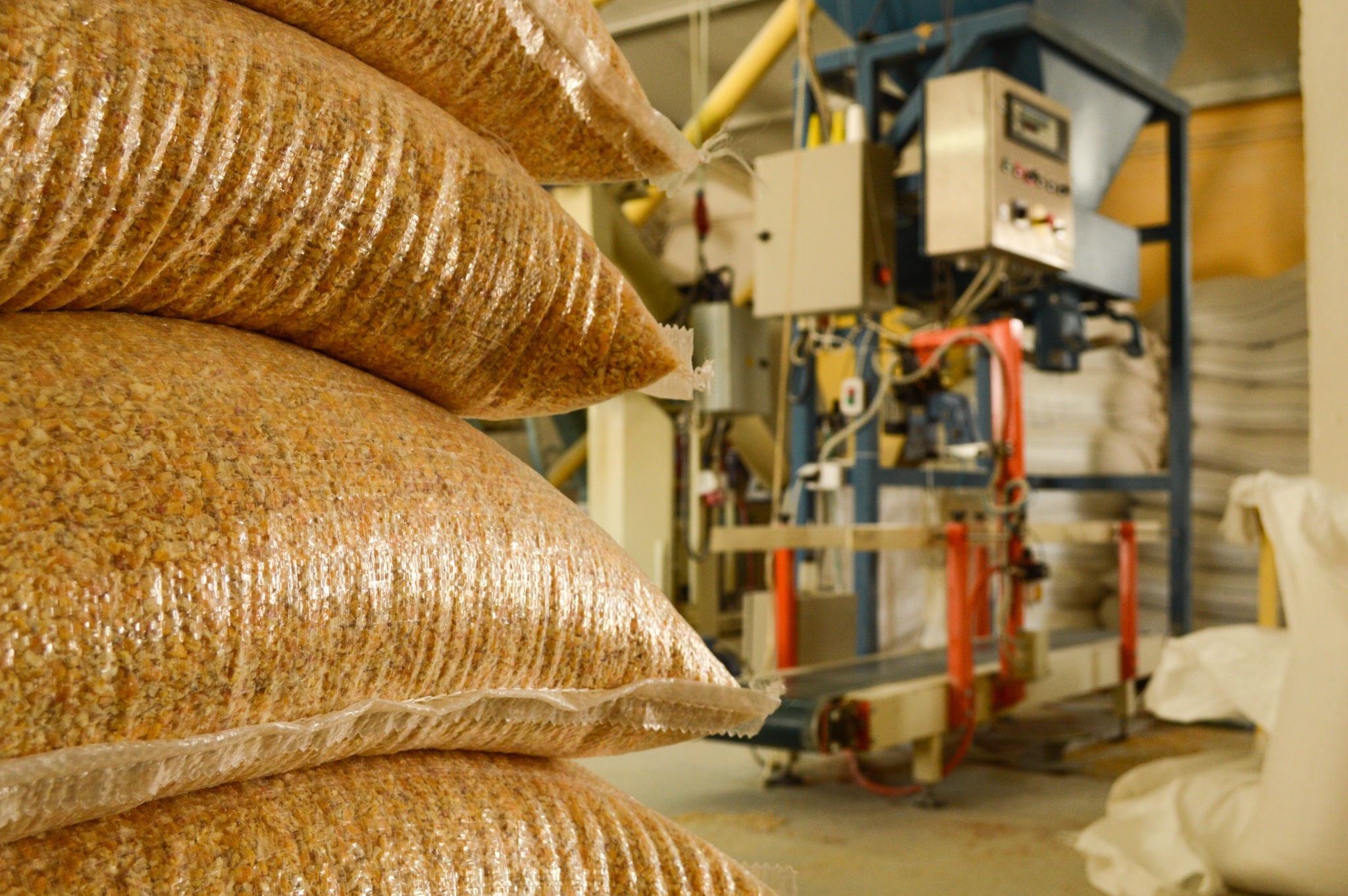 Χρειάζονται 30 εκατ. ευρώ για ζωοτροφές στην Θεσσαλία