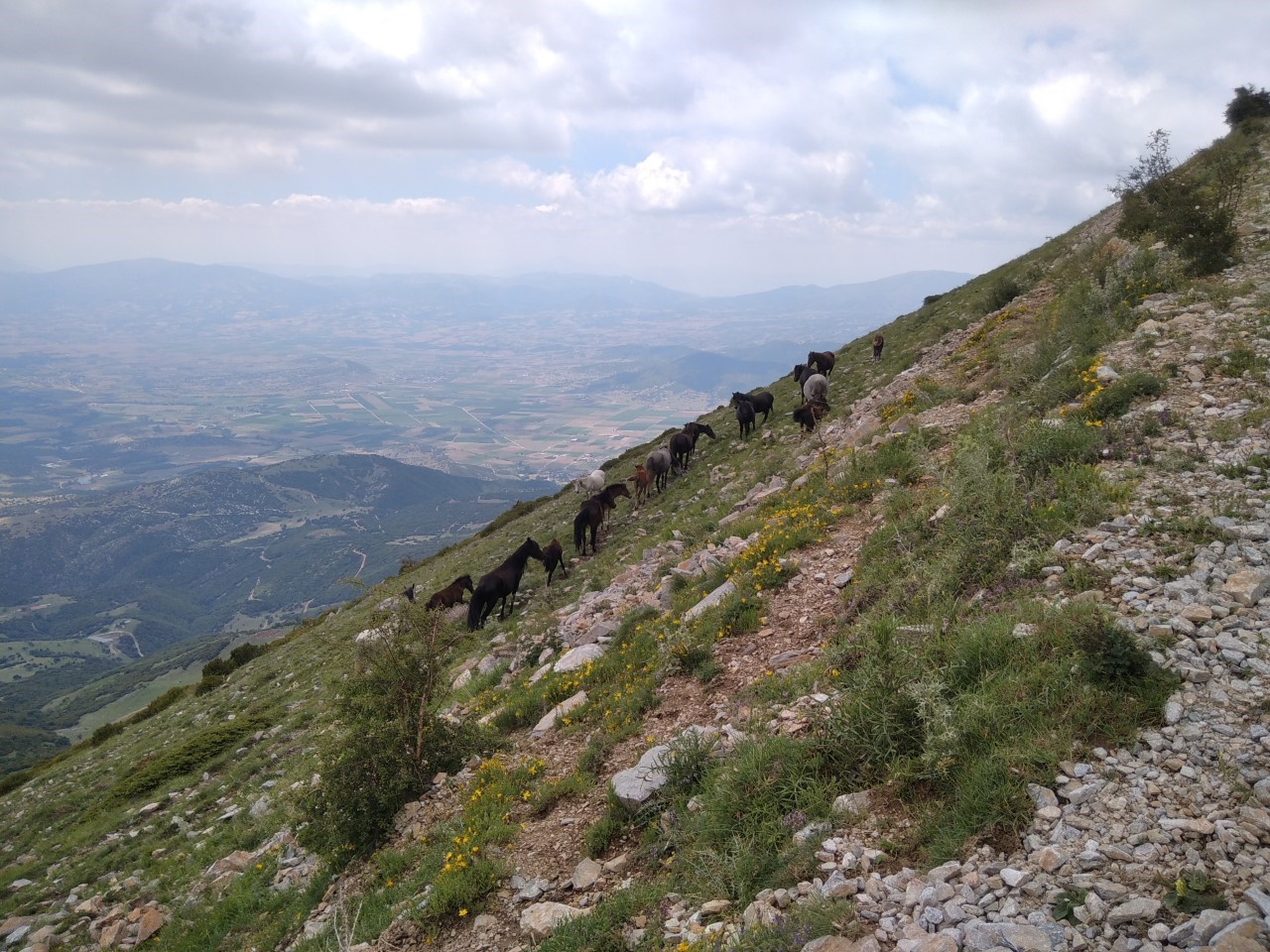 Ανάβαση στον Όλυμπο με άλογο