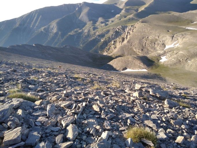 Νεκρός 41χρονος ορειβάτης στον Ολυμπο