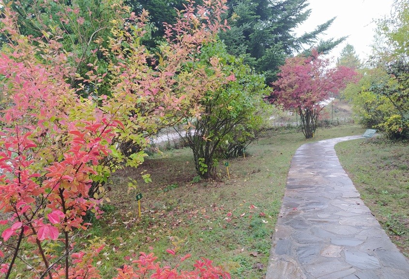 Επαναλειτουργεί ο βοτανικός κήπος στο Νεοχώρι