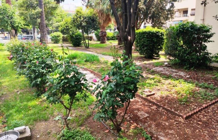 Δηλητηρίασαν τρεις γάτες στο προαύλιο των Δικαστηρίων!