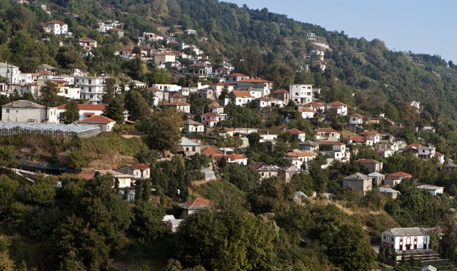 Απαγχονίστηκε αγρότης