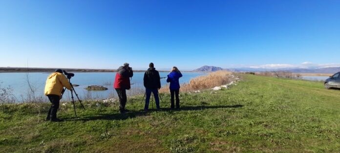 Xειμερινό καταφύγιο για περισσότερα από 40 είδη πουλιών