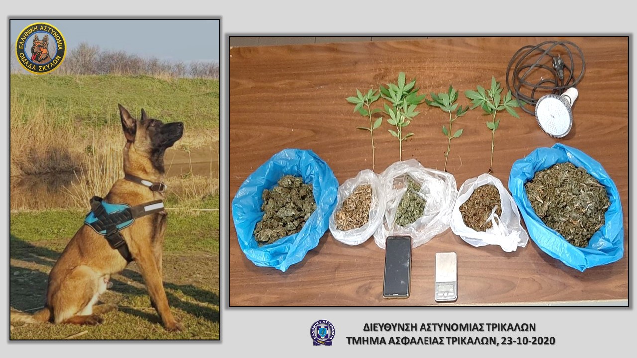 Ο αστυνομικός σκύλος ξετρύπωσε τα ναρκωτικά